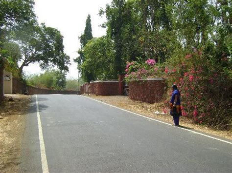 Karnala Photos - Featured Images of Karnala, Raigad District - Tripadvisor