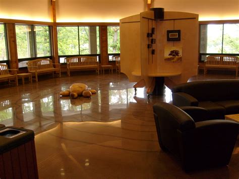 Best Concrete Treatments Floors For Modern Homes