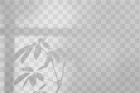 Image result for Window Transparent Background
