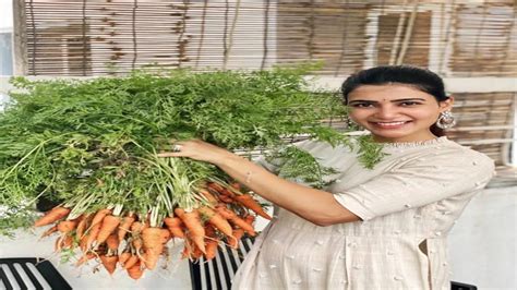 Samantha Akkineni Shares This Week's Menu With Her Perfect Carrot ...