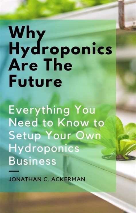 Why Hydroponics Are The Future: Everything You Need To Know To Setup ...