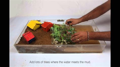 Image result for Tsunami Science Projects