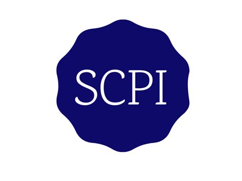 Image result for SCPI Examples