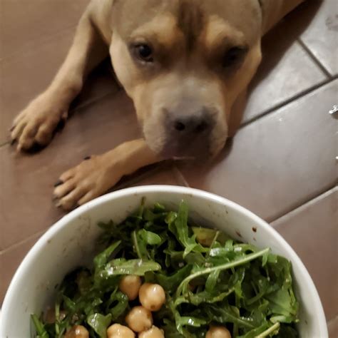 Greek chickpeas from Trader Joe's - Vegan Product Reviews & Ratings ...