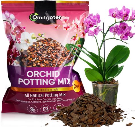 Amazon.com : Omitgoter Organic Orchid Potting Mix 1qt, Mixture of ...