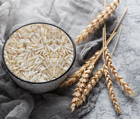 Top Basmati Rice Exporter in India | Janki Dass Rice Mills