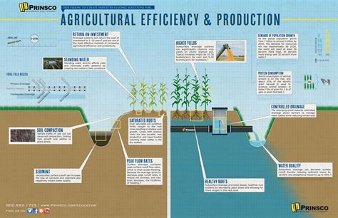 Agricultural Water Management