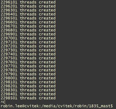 Multithread Pthread 的图像结果
