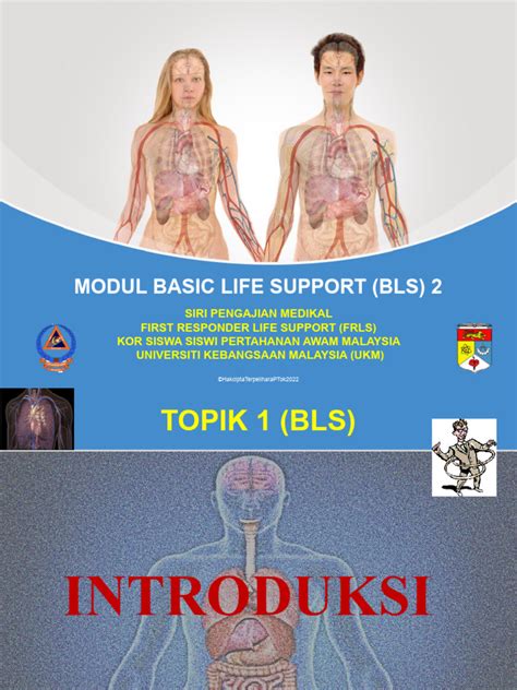 CPR Basic Life Support 的图像结果