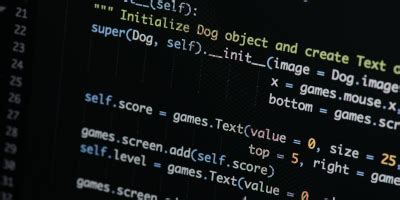 Image result for Basic Debugging Techniques in Python