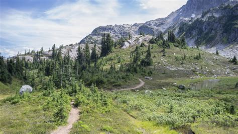 Download wallpaper 2048x1152 trail, trees, slope, mountain ultrawide ...