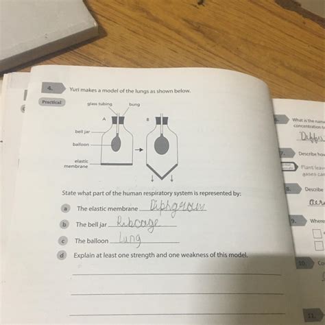 Please answer d question - Brainly.in