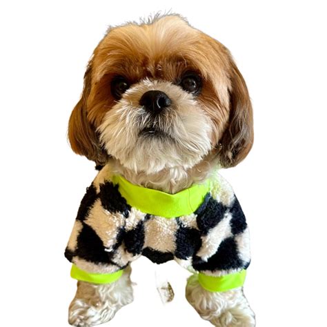 Buy Woofiezz Soft & Cosy Checked Winter Sweater for Dogs and Cats ...