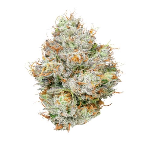 Biskanté | Indoor Flower - 10g - JARS El Mirage | Weedmaps