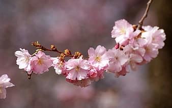 Image result for HTML Format for Text Generation