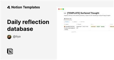 Reflection Database Application 的图像结果