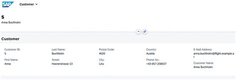 SAP RAP Custom Entity: A Complete Guide - Sachin Artani