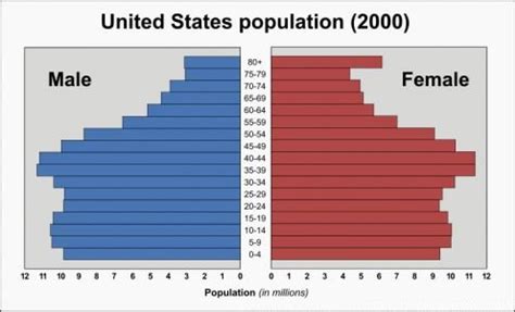 Image result for Simple Table Design Format