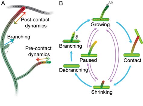 Image result for Agent-Based Model