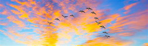 UNISON Insurance Broking Services - Our Journey