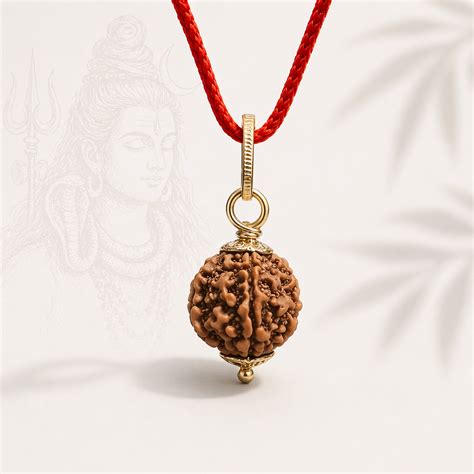 Rudraksh – Signtific India