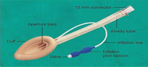 Image result for Patient Bad Example