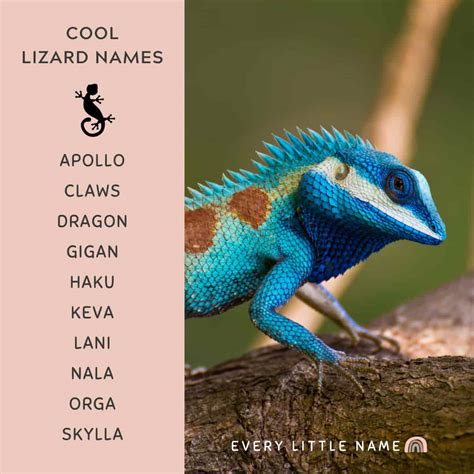 List Of Reptiles Names