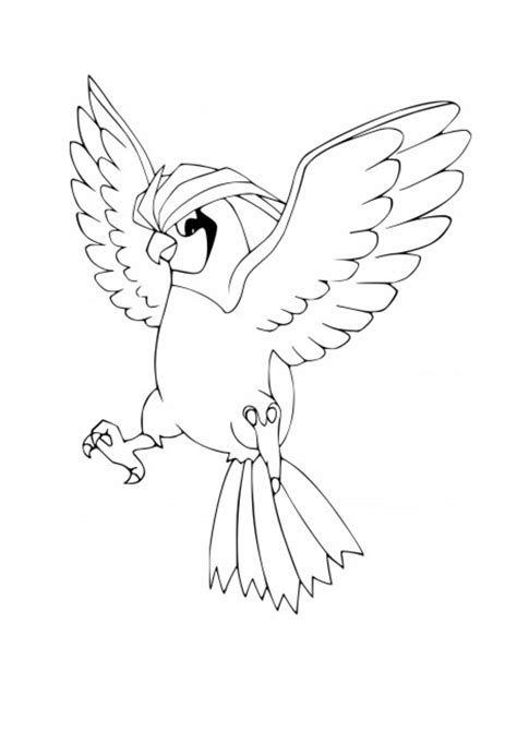 Image result for Pidgeotto Color Pages
