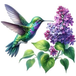 Image result for Map Coloring Problem Task