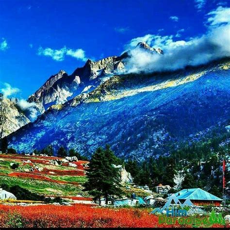 RAKCHHAM VALLEY NATURE CAMPS (Sangla, Himachal Pradesh) - Campground ...