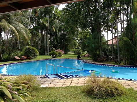Ayubowan Swiss Lanka Bungalow Resort Pool Pictures & Reviews - Tripadvisor