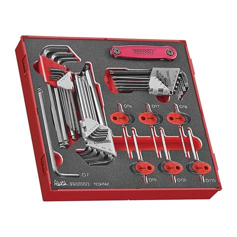 Teng Tools 42 Piece Metric and SAE Hex and Torx Allen Key Wrench Foam ...