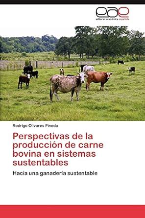 Buy Perspectivas de La Produccion de Carne Bovina En Sistemas ...