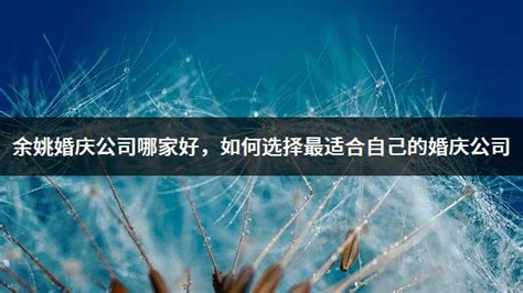 天一四川省学士学位英语2023年成人高等教育学士学位英语水平考试教材历年真题试卷词汇全国本科生自考专升本复习资料函授过包2022_虎窝淘