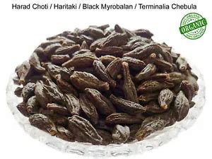 Harad Choti: Premium Black Myrobalan Herb for Digestive Health and Well ...