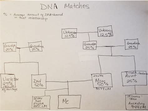 Image result for DNA Match Chart