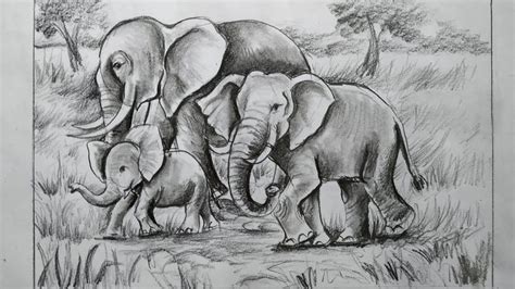 elephant drawing in forest