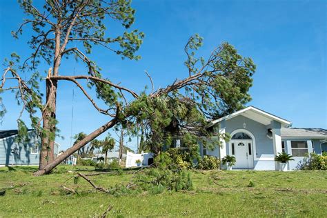 Wind Mitigation vs 4 Point Inspection: Differences Explained