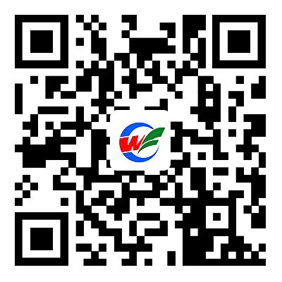 2023年潍坊中考成绩查询入口网站（http://jyj.weifang.gov.cn/）_4221学习网