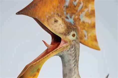 Buy M.See Studio 1:6 Scale Tupandactylus Statue Realistic Pterosaur ...