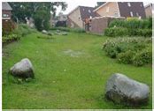 Potentials and Pitfalls of Mapping Nature-Based Solutions with the ...