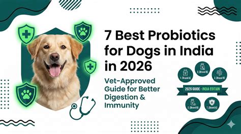 7 Best Probiotics for Dogs in India 2026 | Vet-Approved Guid