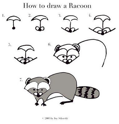 Raccoon Drawing Easy at PaintingValley.com | Explore collection of ...