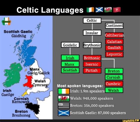 Gaeilge memes. Best Collection of funny Gaeilge pictures on iFunny