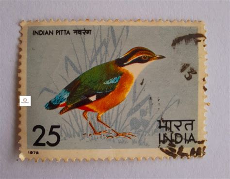 Indian Pitta 1975 - India Stamp – Bonzo Bears
