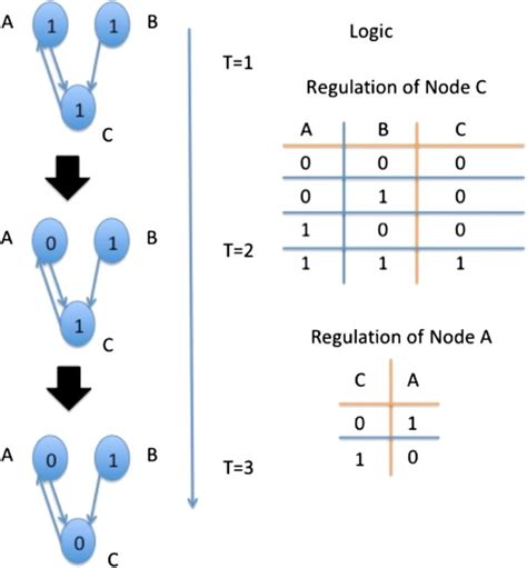 Image result for Boolean Network Python