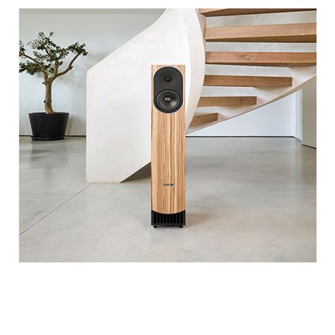 PMC prophecy 5 Floorstanding speakers
