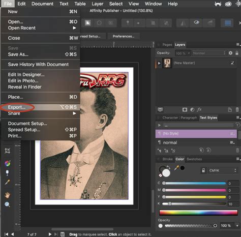 Image result for Affinity Publisher Interactive PDF
