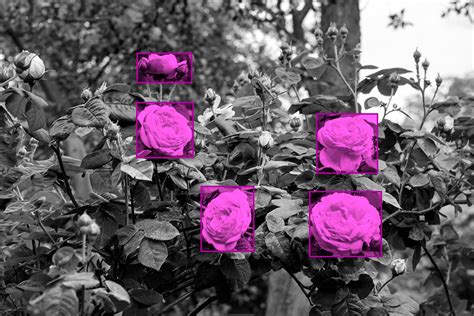 Image result for What Is Data Annotation