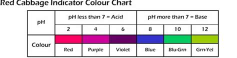 Image result for Red Cabbage Indicator Chart